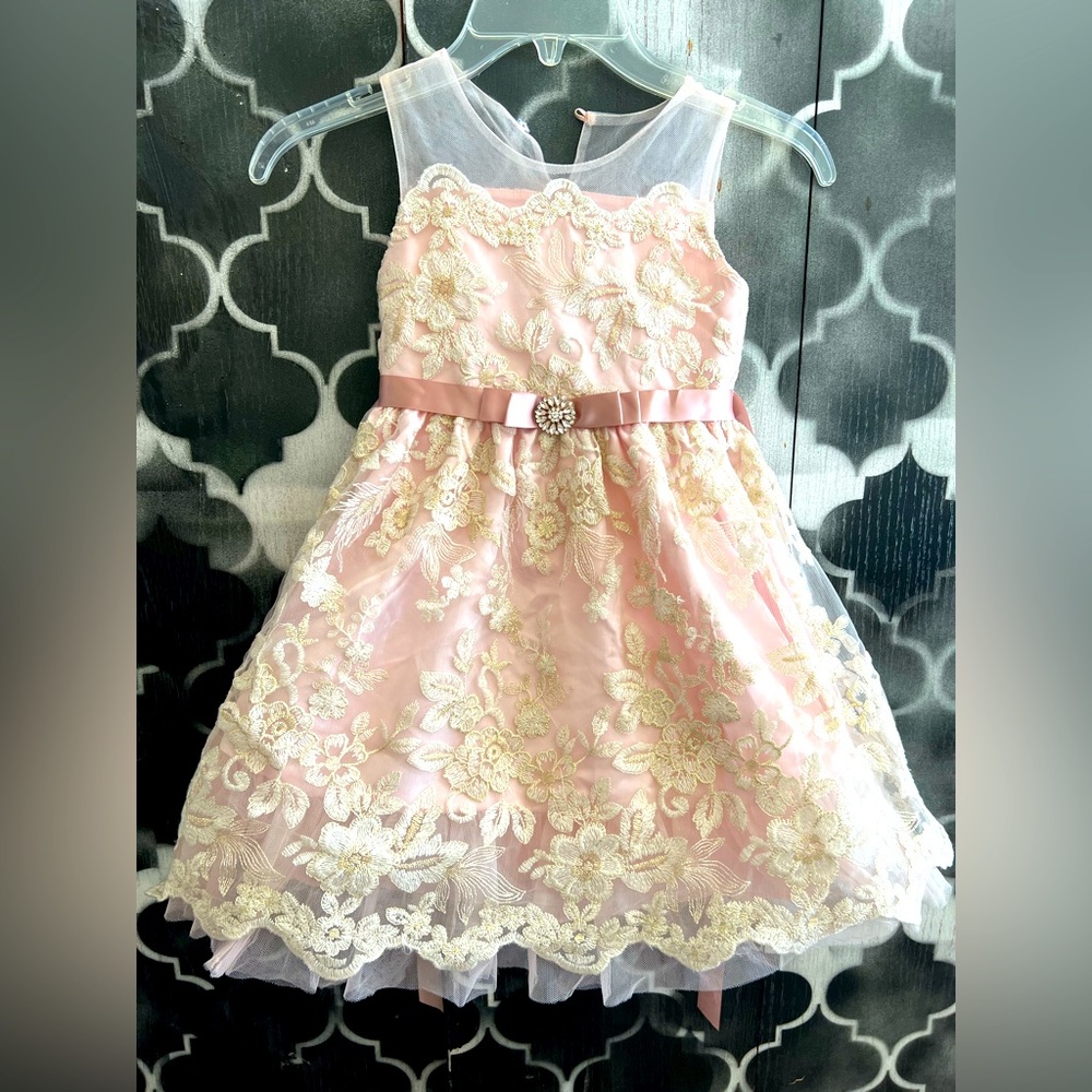 Rare edition flower girl dress